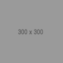 300x300 300x300